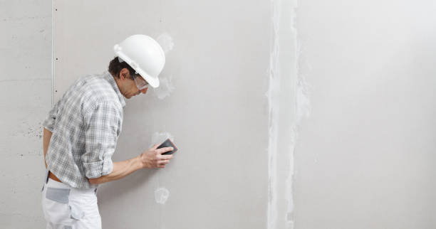 Best Black Mold Removal  in Bayard, NM