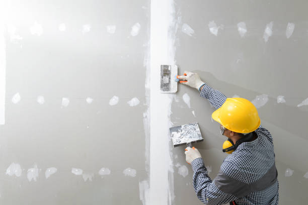 Best Mold Odor Removal Services  in Bayard, NM
