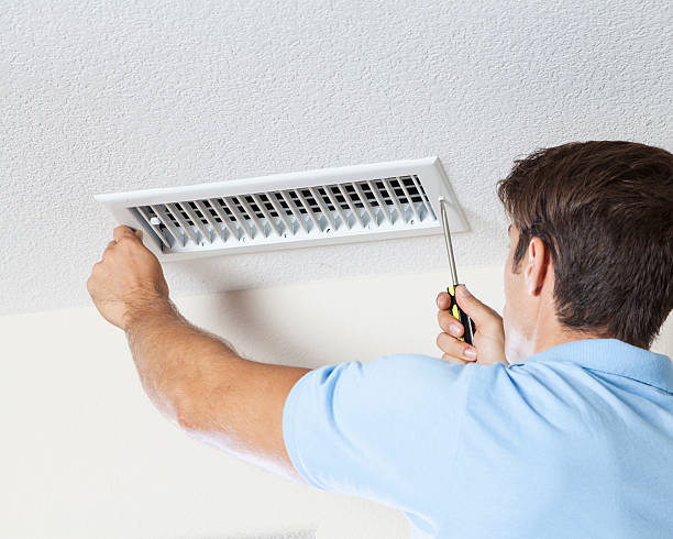 Best Post-Construction Mold Inspection  in Bayard, NM