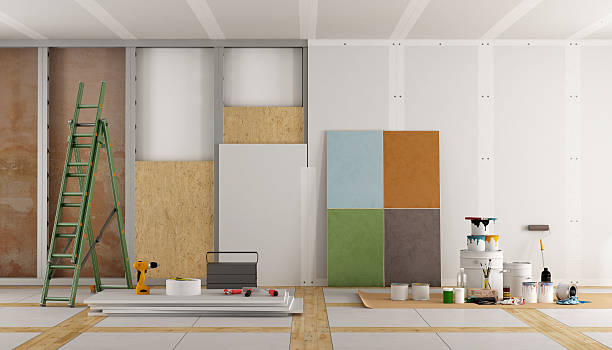Reliable Bayard, NM Mold Removal Solutions