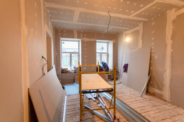 Best Basement Mold Removal  in Bayard, NM